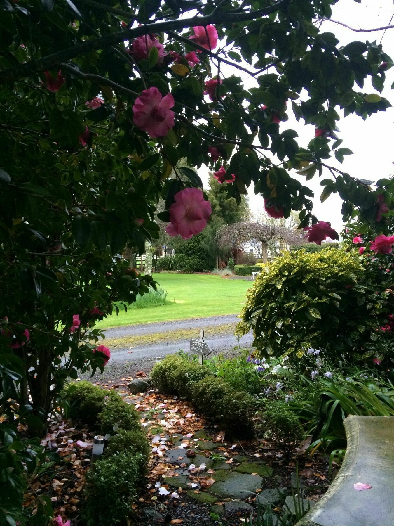 Bed and Breakfast Blairgowrie House Cambridge Exterior foto